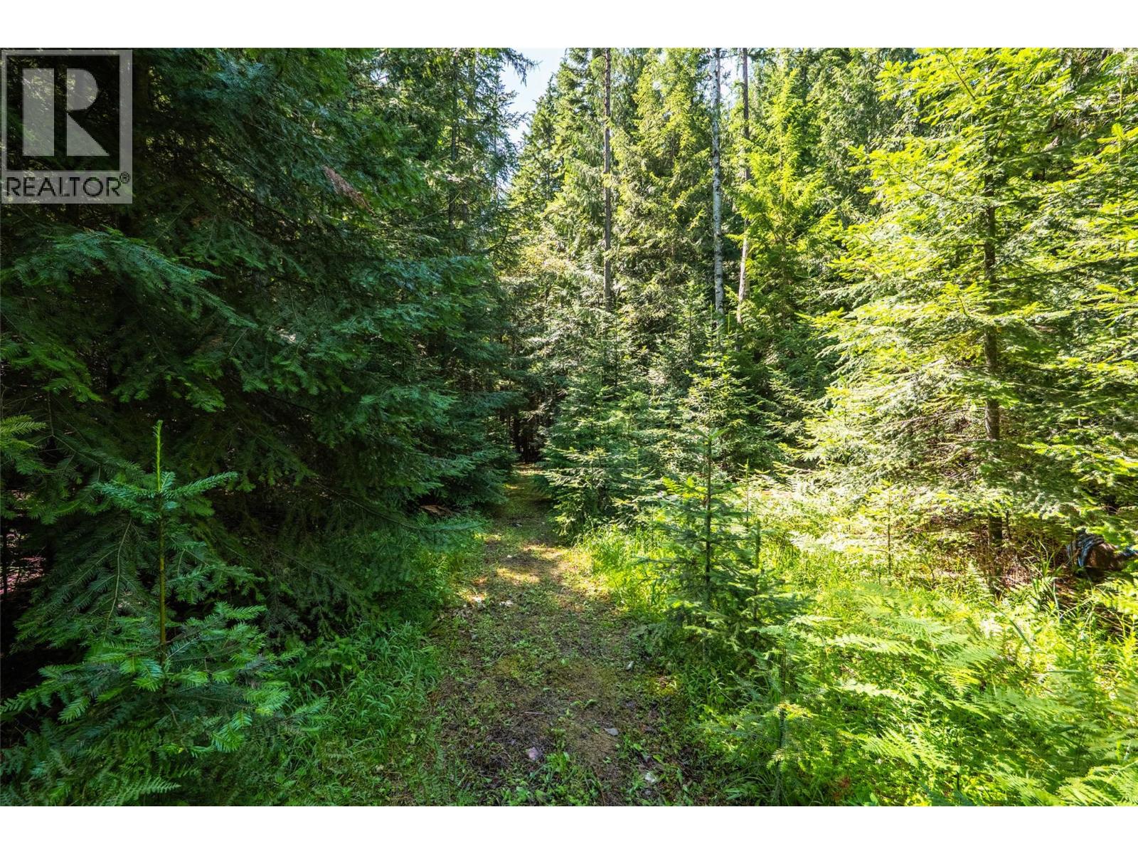 541 Bear Road, Salmo