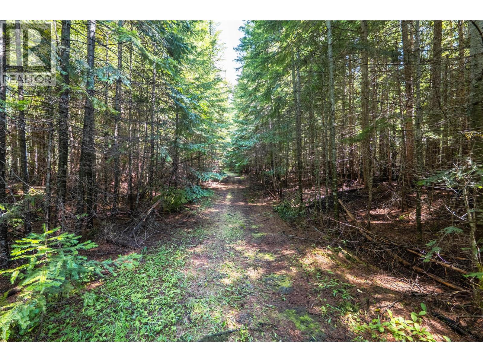 541 Bear Road, Salmo