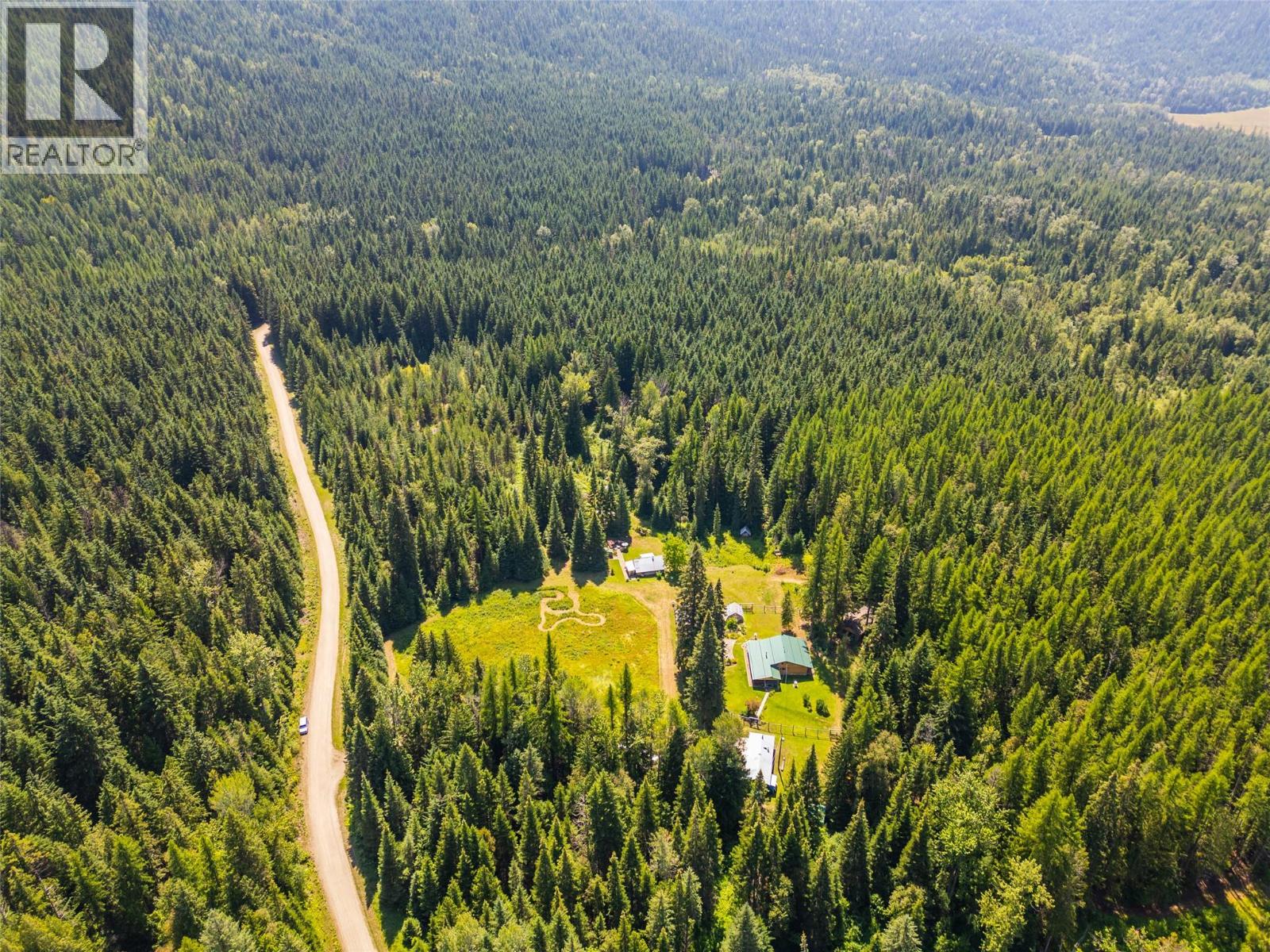 541 Bear Road, Salmo