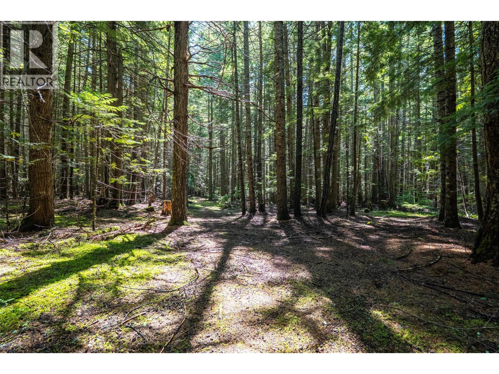 541 Bear Road, Salmo