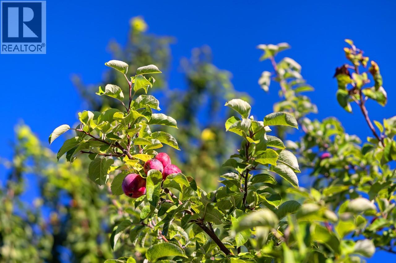 4320 Gulch Road, Naramata