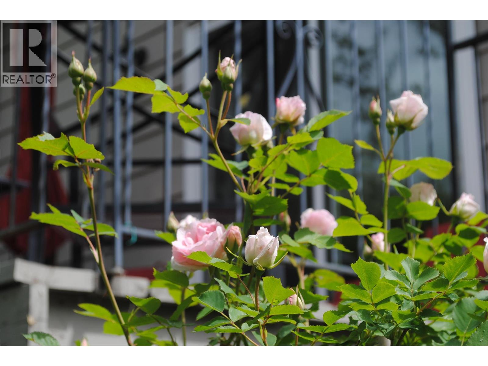 3 Dogwood Place, Osoyoos