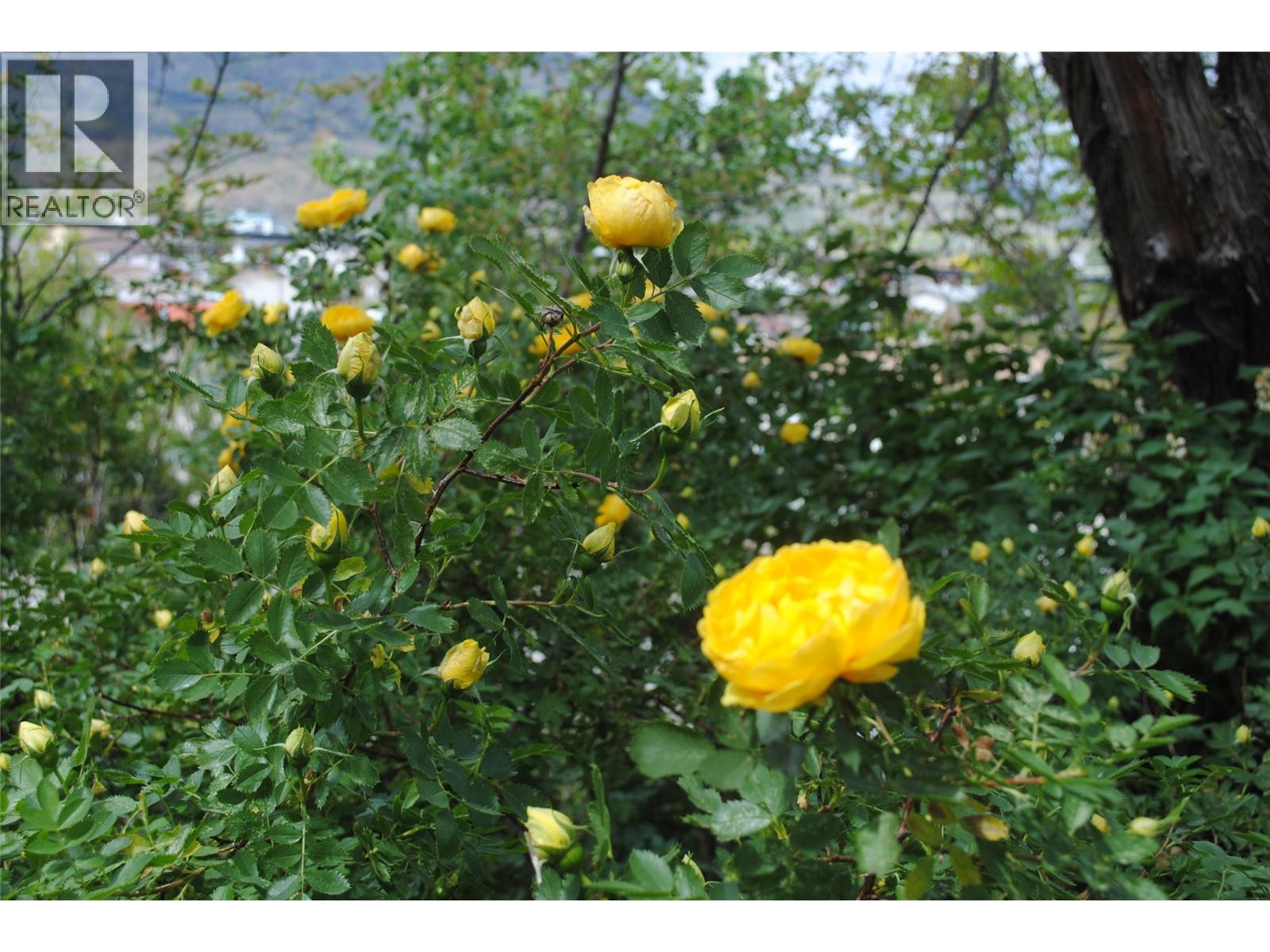 3 Dogwood Place, Osoyoos