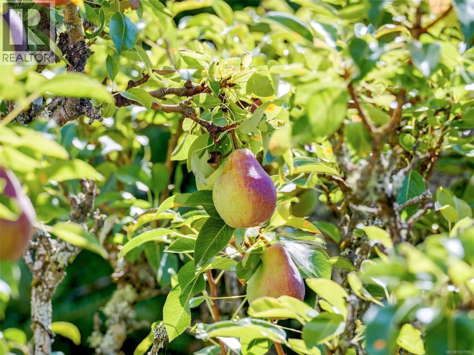  8 Camden Avenue, View Royal