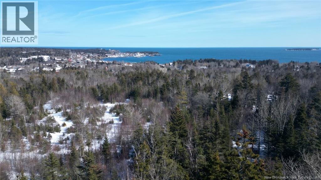 176 Route 776, Grand Manan — photo 2