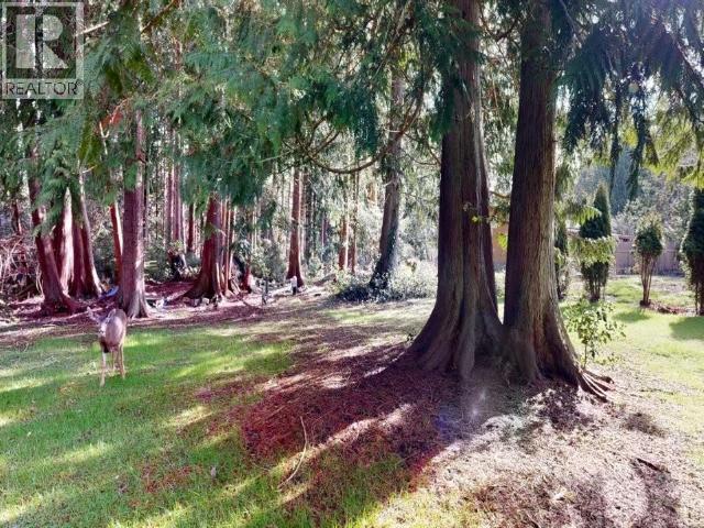 5170 MANSON AVE, Powell River