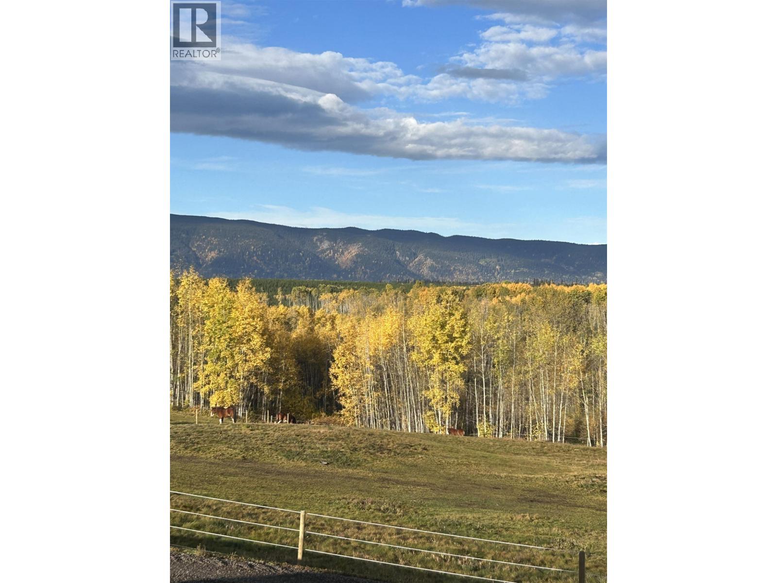 20053 FAREWELL CREEK Road, Telkwa