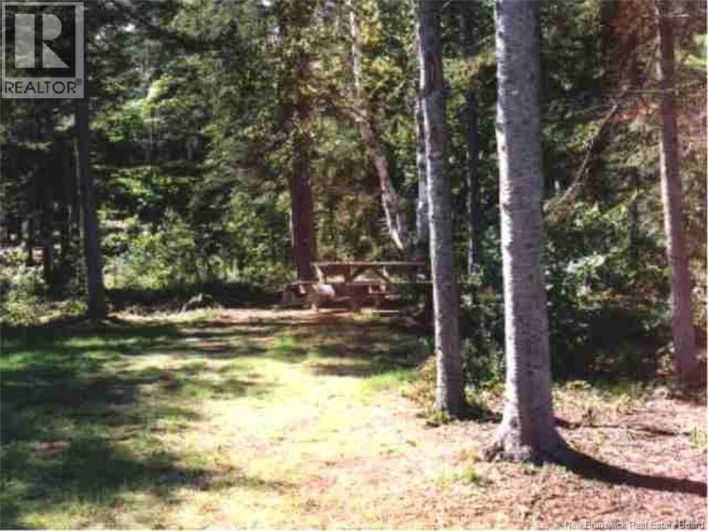 1310 Route 505 - Image 11