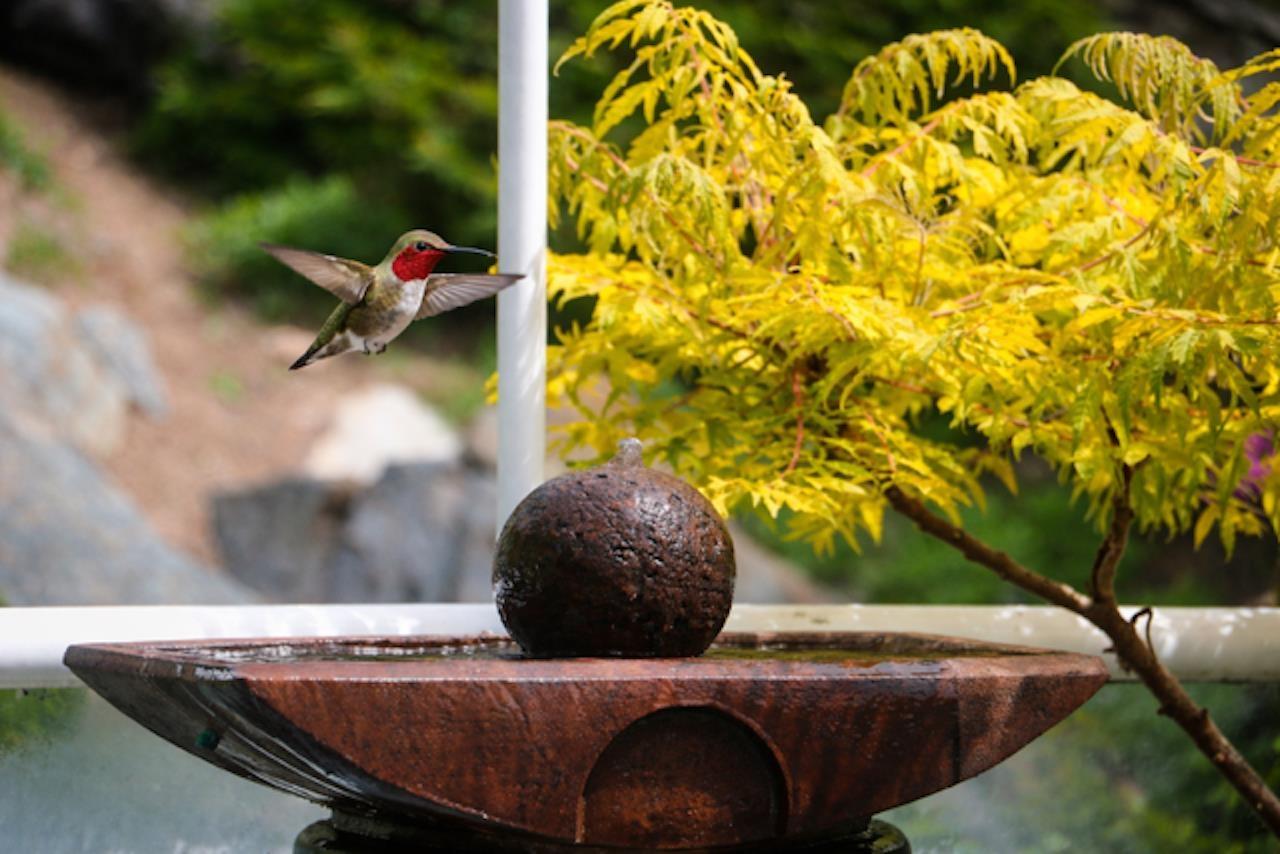 102 15025 VICTORIA AVENUE, White Rock