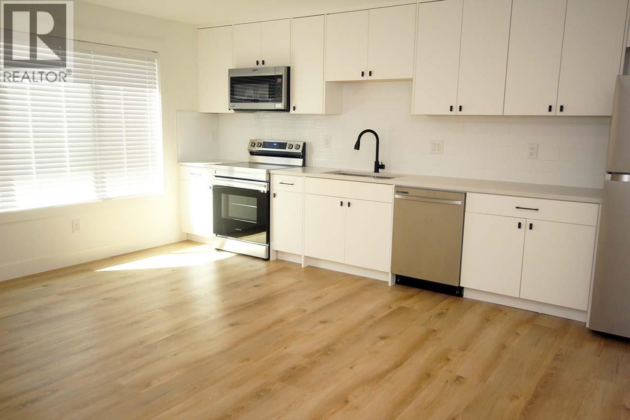 Basement-1242 PITT RIVER ROAD