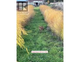 239 Concession 11w, Trent Hills, ON K0L1Y0 Photo 17