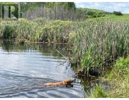 239 Concession 11w, Trent Hills, ON K0L1Y0 Photo 14