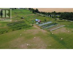 239 Concession 11w, Trent Hills, ON K0L1Y0 Photo 15