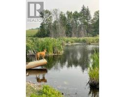 239 Concession 11w, Trent Hills, ON K0L1Y0 Photo 20