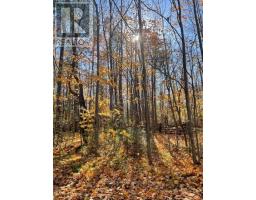 239 Concession 11w, Trent Hills, ON K0L1Y0 Photo 10