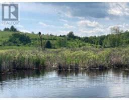 239 Concession 11w, Trent Hills, ON K0L1Y0 Photo 12