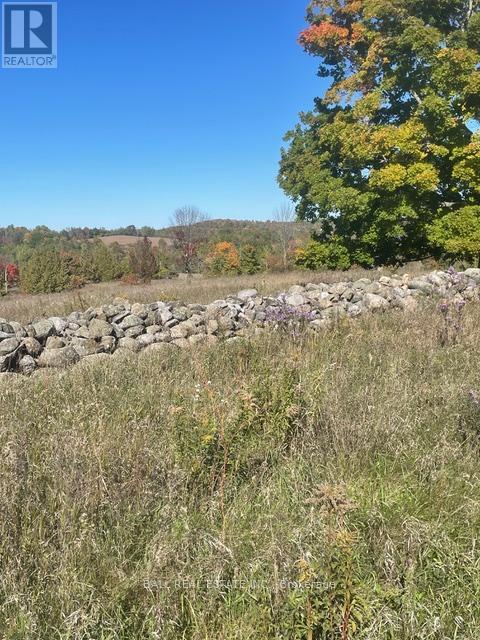 239 CONCESSION 11W