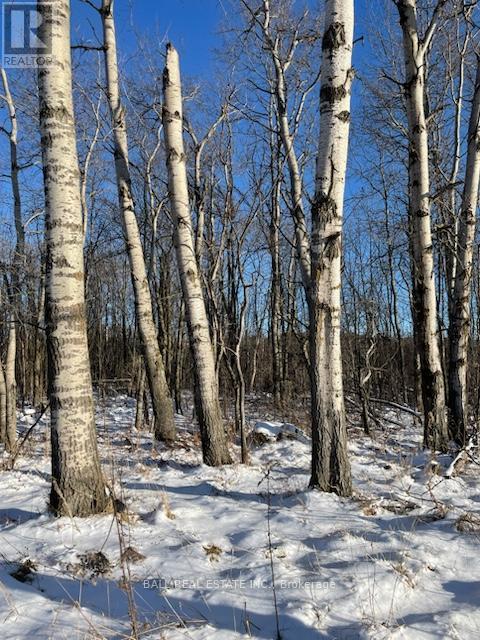 239 CONCESSION 11W