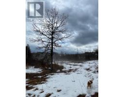 239 Concession 11w, Trent Hills, ON K0L1Y0 Photo 32