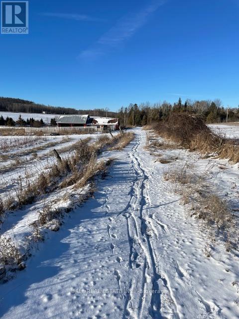 239 CONCESSION 11W