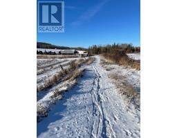 239 Concession 11w, Trent Hills, ON K0L1Y0 Photo 29