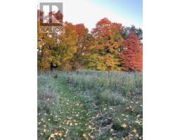 239 Concession 11w, Trent Hills, ON K0L1Y0 Photo 36
