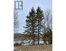 239 Concession 11w, Trent Hills, ON K0L1Y0 Photo 35