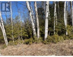 239 Concession 11w, Trent Hills, ON K0L1Y0 Photo 34