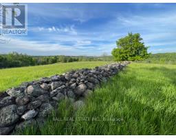 239 Concession 11w, Trent Hills, ON K0L1Y0 Photo 7