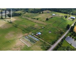 239 Concession 11w, Trent Hills, ON K0L1Y0 Photo 40