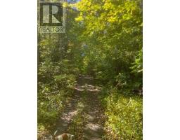 239 Concession 11w, Trent Hills, ON K0L1Y0 Photo 9