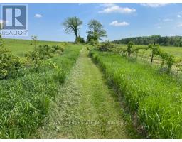 239 Concession 11w, Trent Hills, ON K0L1Y0 Photo 8