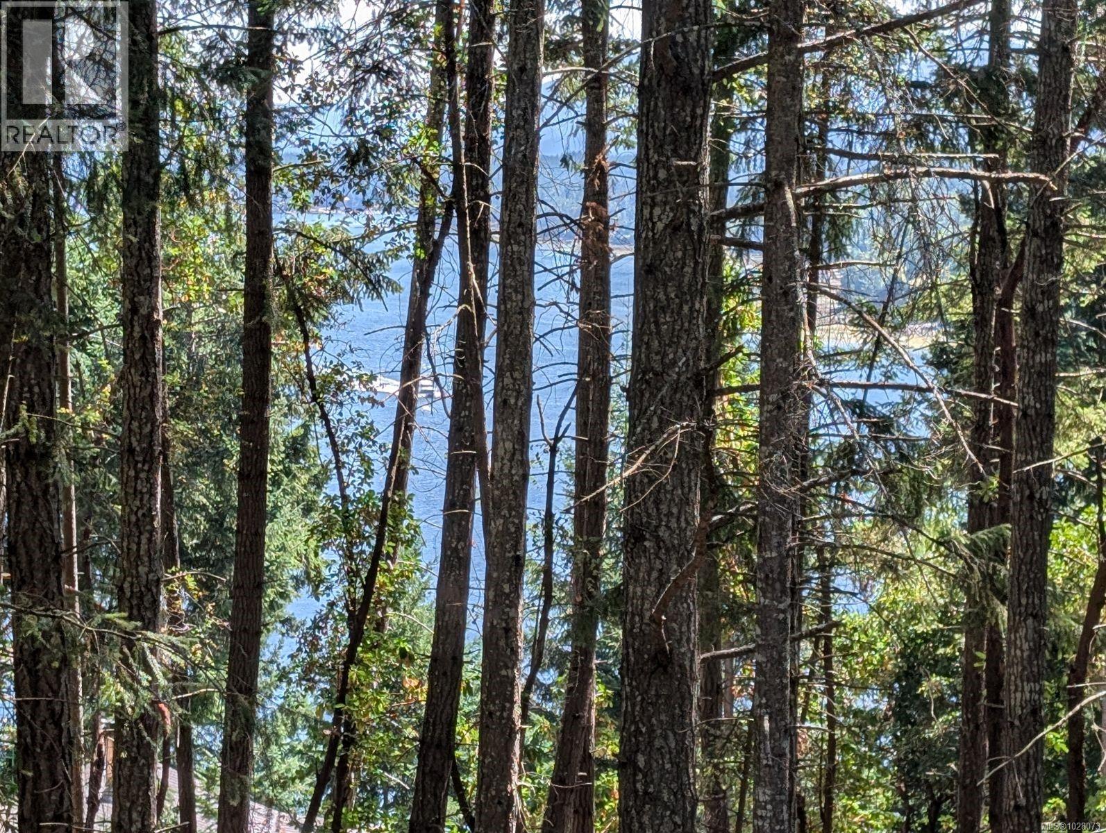  415 Halibut Hill Road, Mudge Island