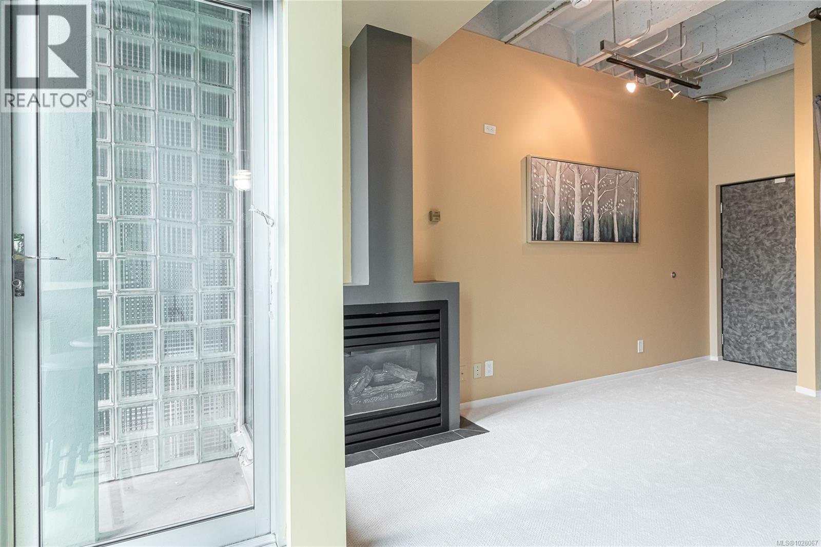 #411 1061 FORT ST - 12