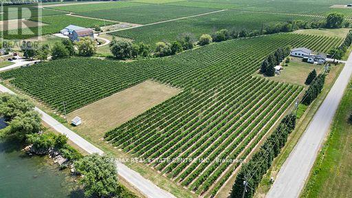 4036 LAKESHORE ROAD - 37