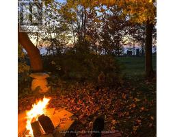 4 - 77719 Bluewater Highway, Central Huron, ON N0M1G0 Photo 12