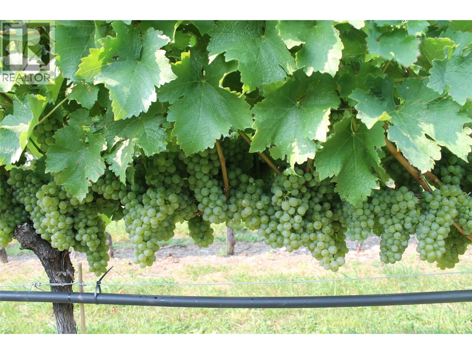 7361 Tucelnuit Drive, Oliver