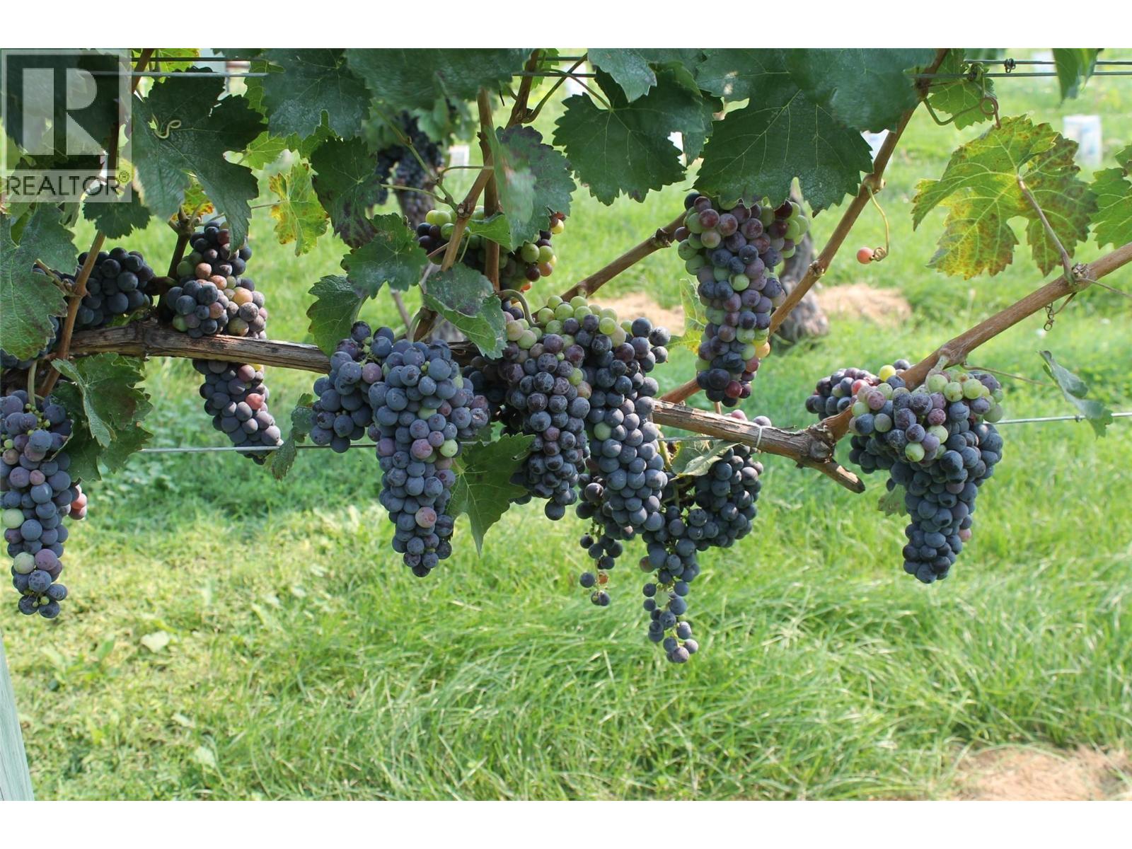 7361 Tucelnuit Drive, Oliver