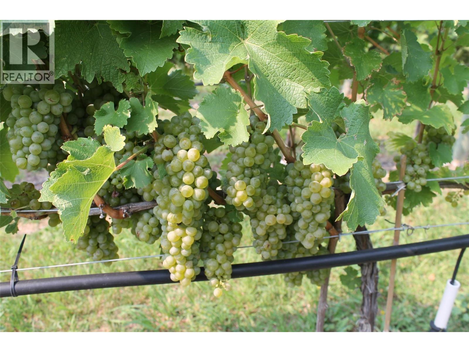 7361 Tucelnuit Drive, Oliver