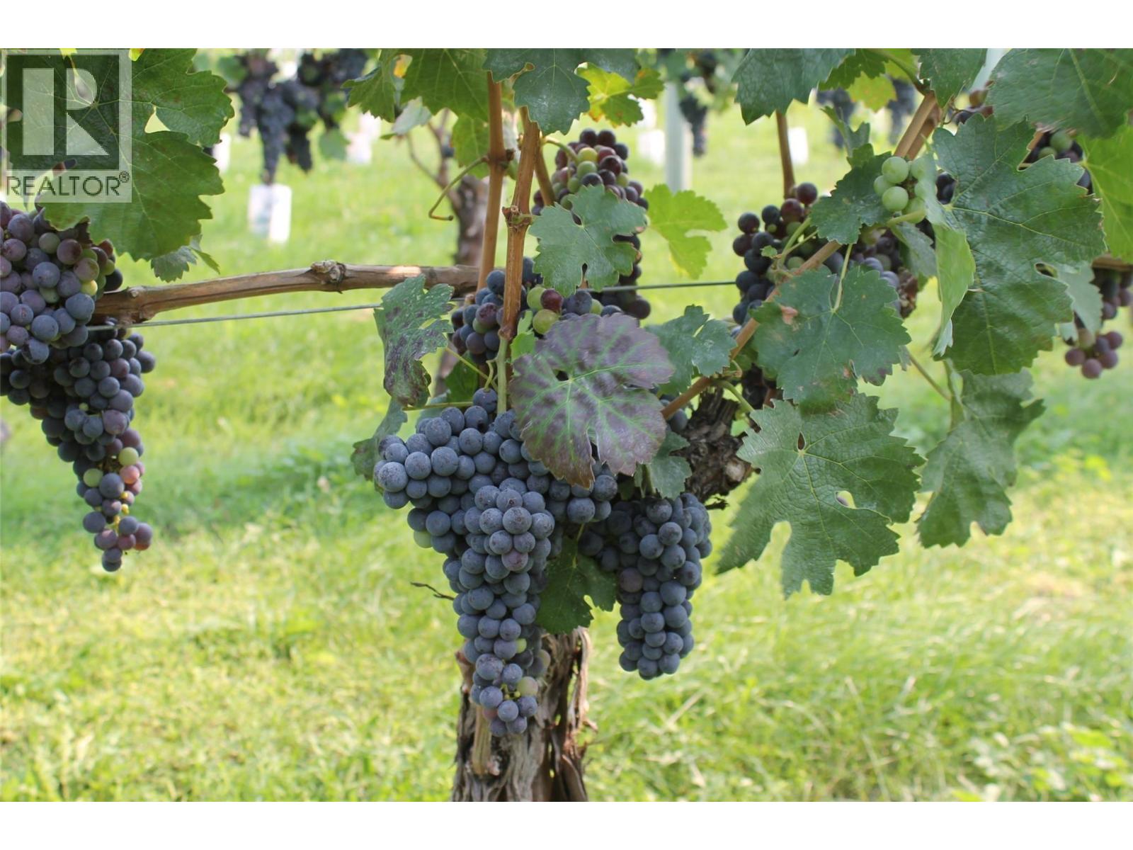 7361 Tucelnuit Drive, Oliver