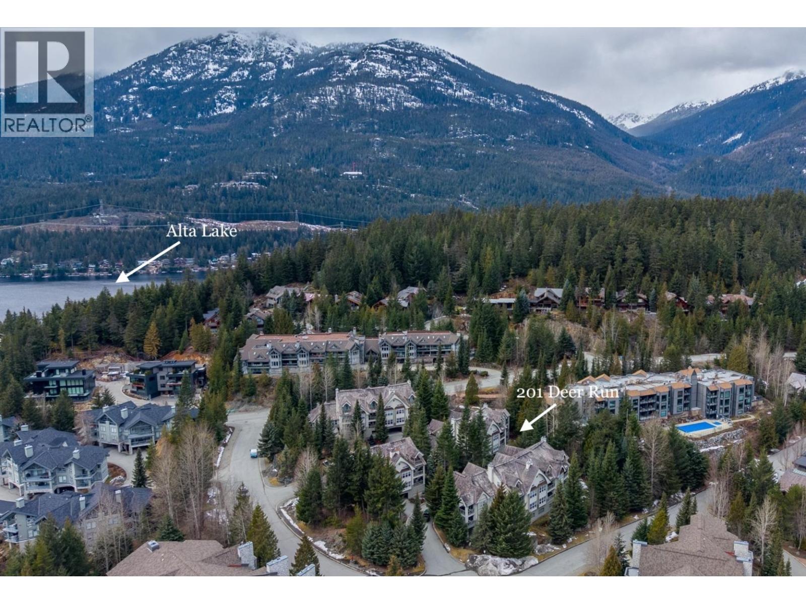 201 3300 PTARMIGAN PLACE, Whistler