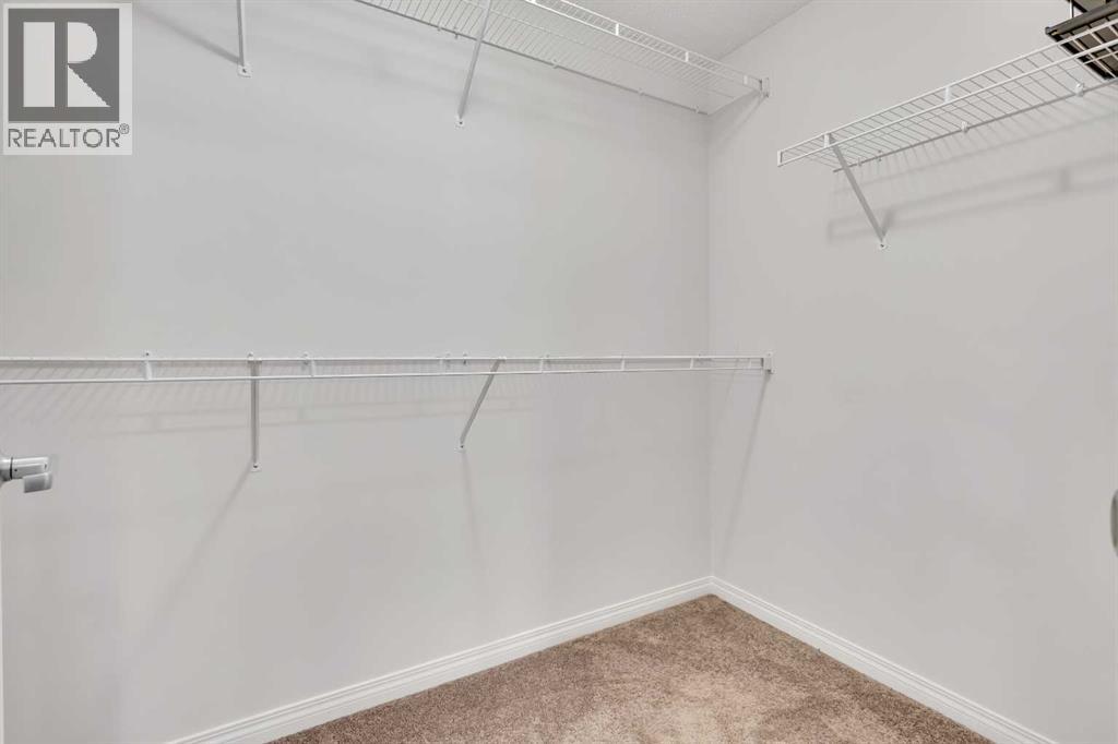 Single Family House for Sale in  Cityside Rise NE Cityscape Calgary 