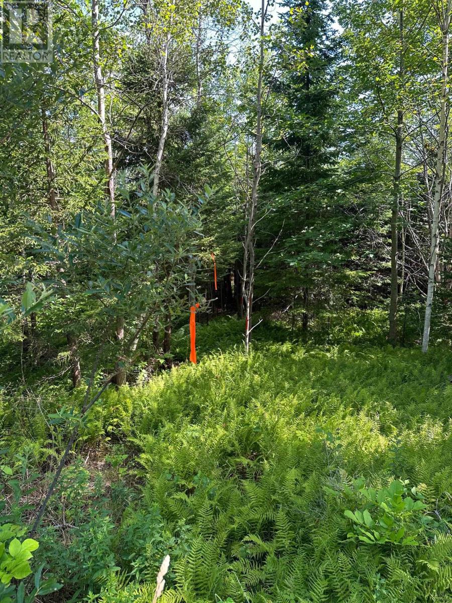 Property 7 of 14 of LOT 103 CROUSES SETTLEMENT Road