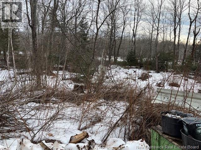 11 Dale Aubin Lane — photo 11
