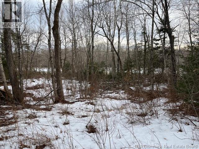 11 Dale Aubin Lane — photo 8