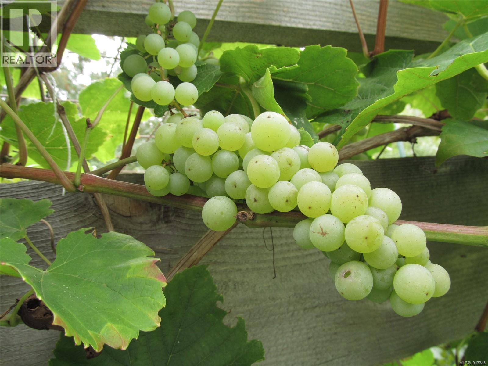 5530 Riverbottom Rd, Duncan