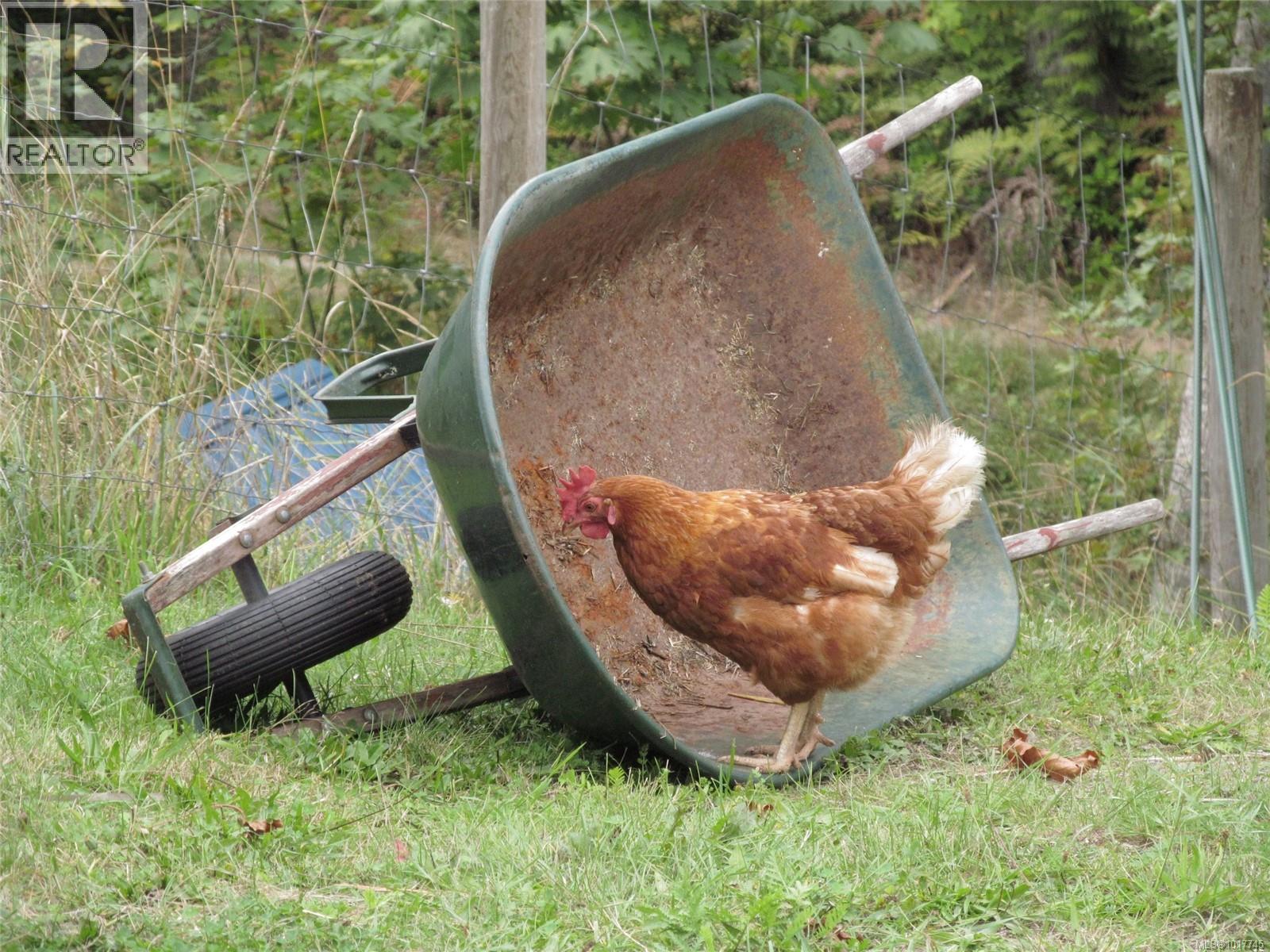 5530 Riverbottom Rd, Duncan