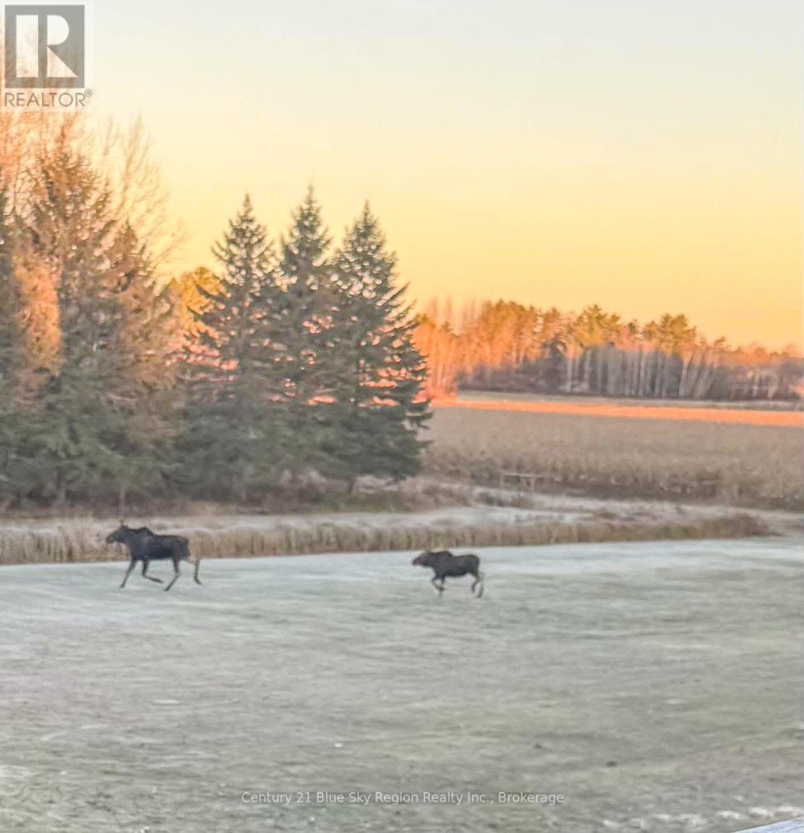 10695 HIGHWAY 64, West Nipissing (Lavigne), Ontario, P0H1R0 — Photo 44