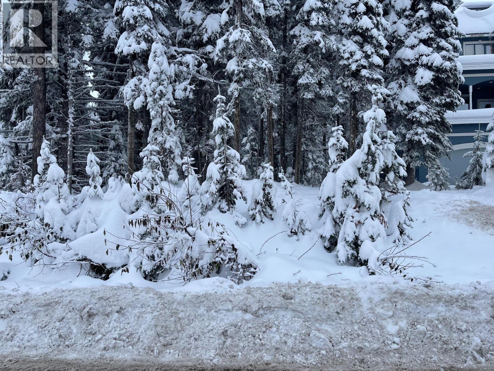  555 Monashee Road, Silver Star