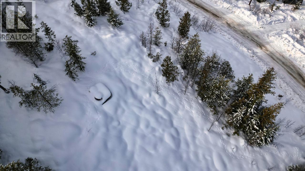 305 RICHIE ROAD - 12